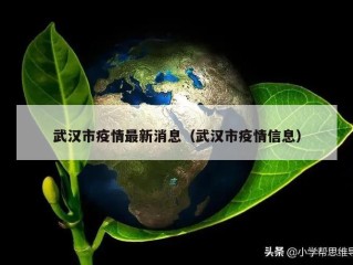 武汉市疫情最新消息（武汉市疫情信息）
