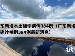 广东新增本土确诊病例384例（广东新增本土确诊病例384例最新消息）