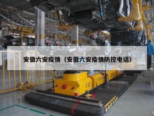 安徽六安疫情（安徽六安疫情防控电话）